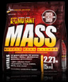 Mass Gainers